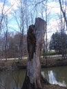 Petrifying spring River in Kenosha Wisconsin