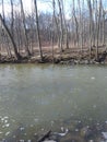 Petrifying spring River in Kenosha Wisconsin
