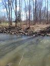 Petrifying spring River in Kenosha Wisconsin