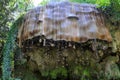 Petrifying wall in Knaresborough, Yorkshire, UK