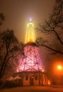 Petrin Tower in Prague at Night in Fog