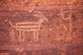 Petroglyph of antelope pooping Royalty Free Stock Photo