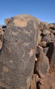 Petroglyph carving Royalty Free Stock Photo