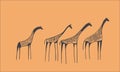 Petroglyph herd of giraffes