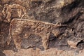 Petroglyph in Morocco