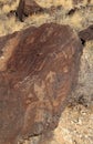 Petroglyph National Monument