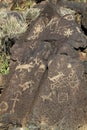 Petroglyph Panel on Basalt Rock