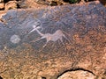 Petroglyph in Petrified Forest, Namibia, Africa Royalty Free Stock Photo
