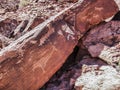 Petroglyph in Petrified Forest, Namibia, Africa.African animals are represented on the stone by ancient men.ancestral artworks are Royalty Free Stock Photo