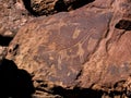 Petroglyph in Petrified Forest, Namibia, AfricaAfrican animals are represented on the stone by ancient men.ancestral artworks are Royalty Free Stock Photo