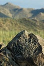 Petroglyph on Signal Hill, Saguaro National Park, Arizona Royalty Free Stock Photo