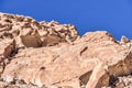 Petroglyph at Yerba Buenas near San Pedro de Atacama in Chile