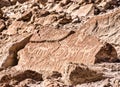 Petroglyph at Yerba Buenas near San Pedro de Atacama in Chile