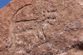 Petroglyph at Yerbas Buenas near San Pedro de Atacama.