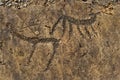 Petroglyphs Of The Altai Mountains