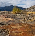 Petroglyphs Of The Altai Mountains