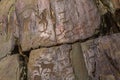 Petroglyphs of Altay. Ancient rock paintings in the Altai Mountains