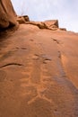 Petroglyphs of Anasazi Canyon