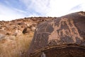 Petroglyphs of Anasazi Canyon