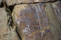 Petroglyphs. Ancient rock paintings in the Altai Mountains