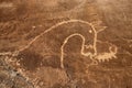 Ancient Horse Petroglyph Royalty Free Stock Photo