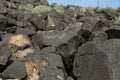 Petroglyphs at Boca Negra at Petroglyph National Monument in Albuquerque, New Mexico,USA