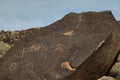 Petroglyphs at Boca Negra at Petroglyph National Monument in Albuquerque, New Mexico,USA