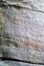Petroglyphs carved into rocks at Gosford Australia