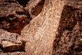 Petroglyphs at Chalfant Valley in the Eastern Sierra