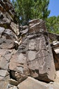 Petroglyphs Galisteo New Mexico Royalty Free Stock Photo