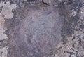 Petroglyphs of Kalbak-Tash in Altai, Siberia Royalty Free Stock Photo