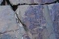 Petroglyphs of Kalbak-Tash in Altai, Siberia Royalty Free Stock Photo