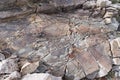 Petroglyphs On Large Rock On Mount Stirling Royalty Free Stock Photo
