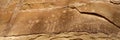 Petroglyphs on Mesa Verde National Park cliff face