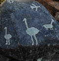 The petroglyphs of Miculla or San Francisco de Cuculla, located in the department of Tacna Peru. There are naturalistic,