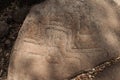 Petroglyphs on Ometepe island, Nicarag