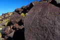 Petroglyphs, Petroglyph National Monument, Albuquerque, New Mexico