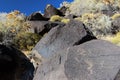 Petroglyphs, Petroglyph National Monument, Albuquerque, New Mexico