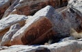 Petroglyphs on the rock