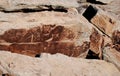 Petroglyphs on the rock