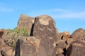 Petroglyphs on rocks at the top of the Signal Hill Trail in Saguaro National Park in Tucson, Arizona Royalty Free Stock Photo