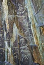 Petroglyphs rock carvings