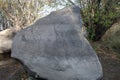 Petroglyphs on the rocks Royalty Free Stock Photo