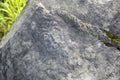 Petroglyphs on the rocks Royalty Free Stock Photo