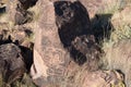 Petroglyphs on the stone