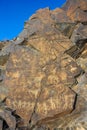 Petroglyphs on the stone Royalty Free Stock Photo