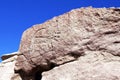 Petroglyphs of Yerbas Buenas, Atacama Desert, Chile