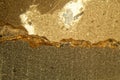 Thin section of Triassic carbonate under the microscope Royalty Free Stock Photo