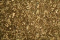 Thin section of limestone under the microscope Royalty Free Stock Photo
