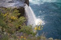 Petrohue Waterfalls, Chile